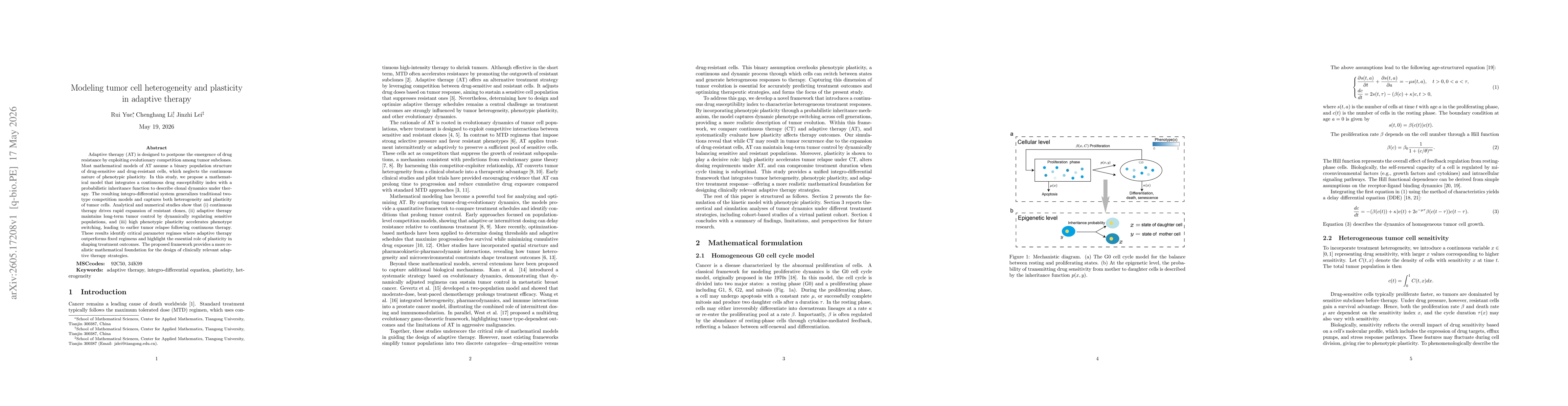 Thumbnail for Modeling tumor cell heterogeneity and plasticity in adaptive therapy