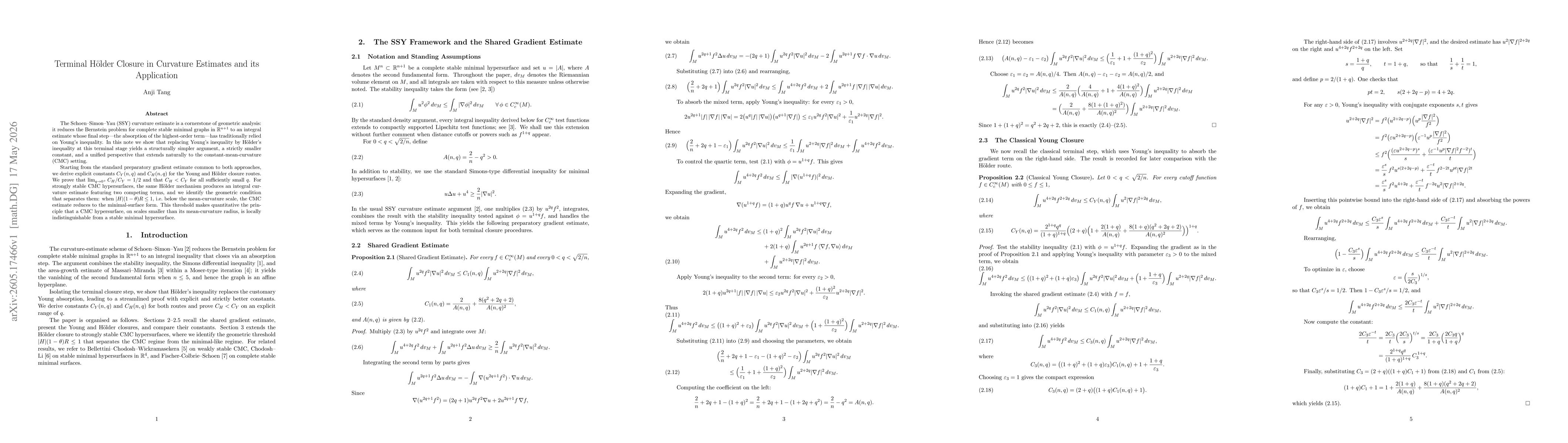 Thumbnail for Terminal Hölder Closure in Curvature Estimates and its Application