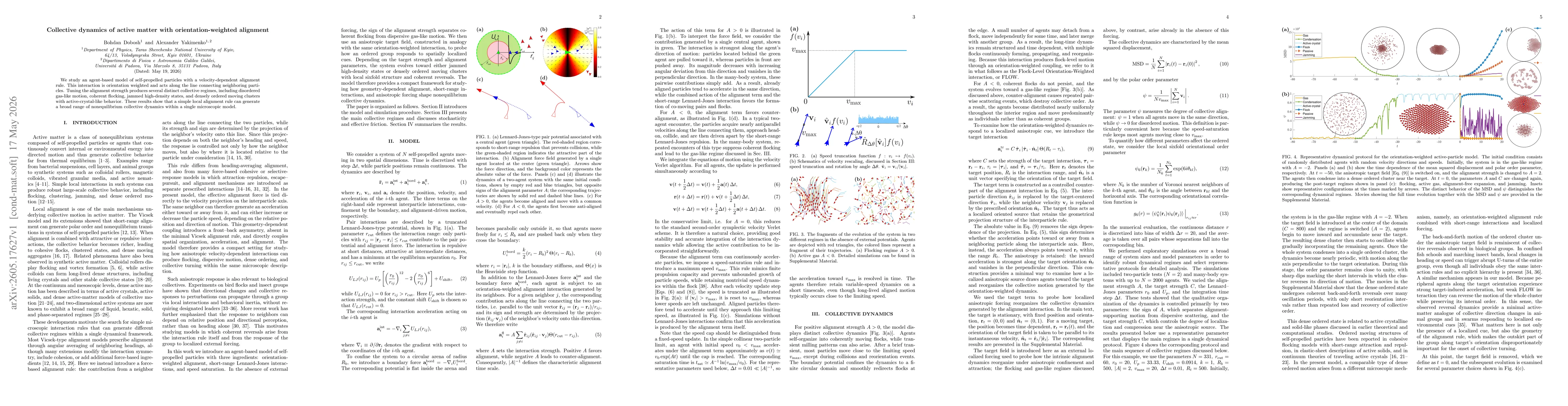 Thumbnail for Collective dynamics of active matter with orientation-weighted alignment
