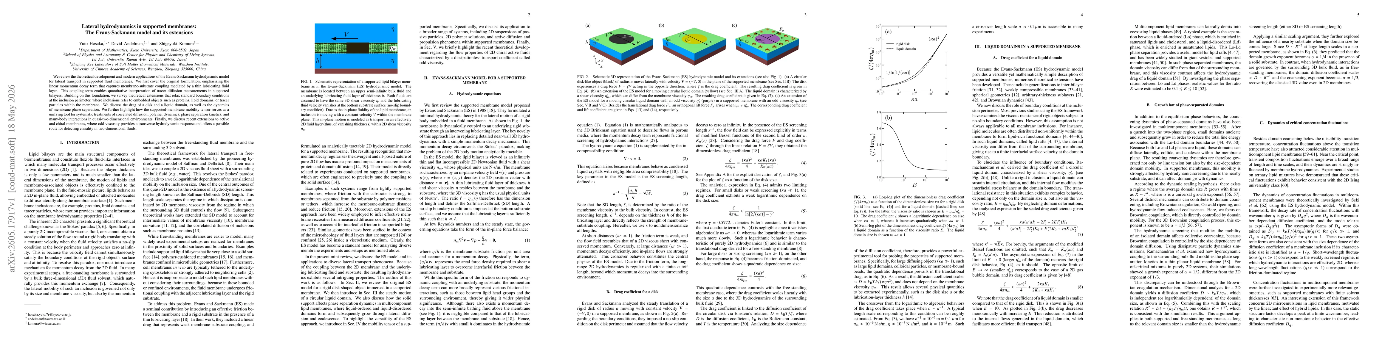 Thumbnail for Lateral hydrodynamics in supported membranes: The Evans-Sackmann model and its extensions