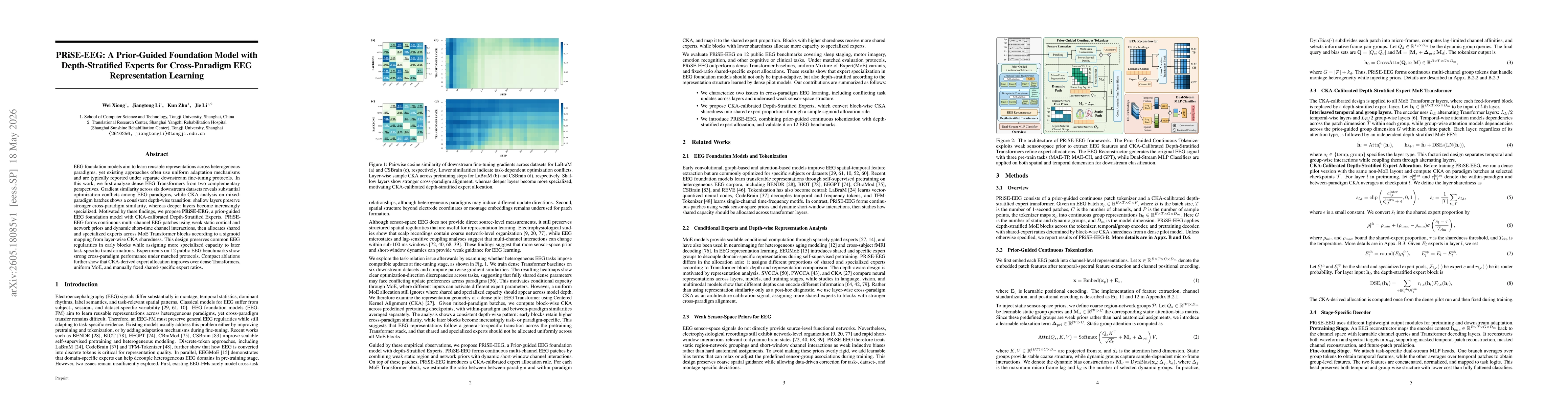 Thumbnail for PRiSE-EEG: A Prior-Guided Foundation Model with Depth-Stratified Experts for Cross-Paradigm EEG Representation Learning