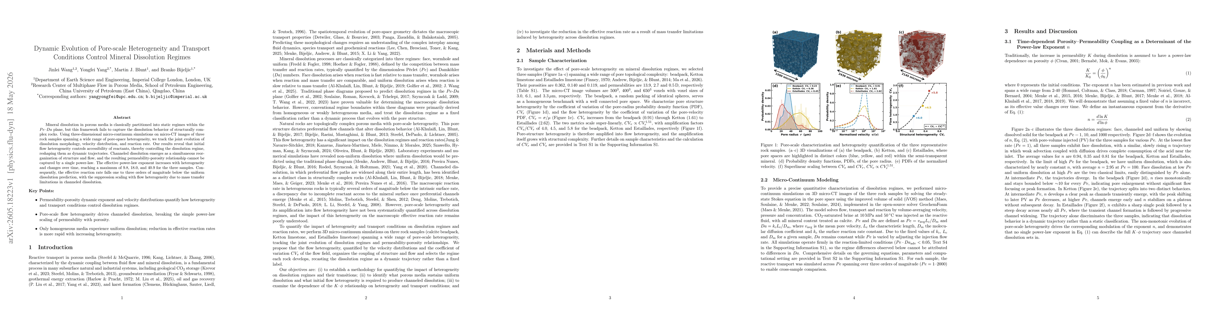 Thumbnail for Dynamic Evolution of Pore-scale Heterogeneity and Transport Conditions Control Mineral Dissolution Regimes