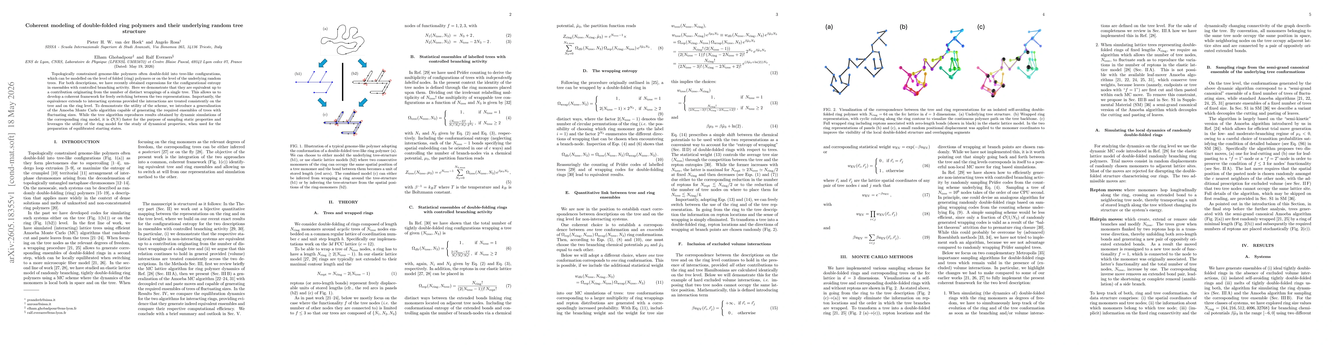 Thumbnail for Coherent modeling of double-folded ring polymers and their underlying random tree structure