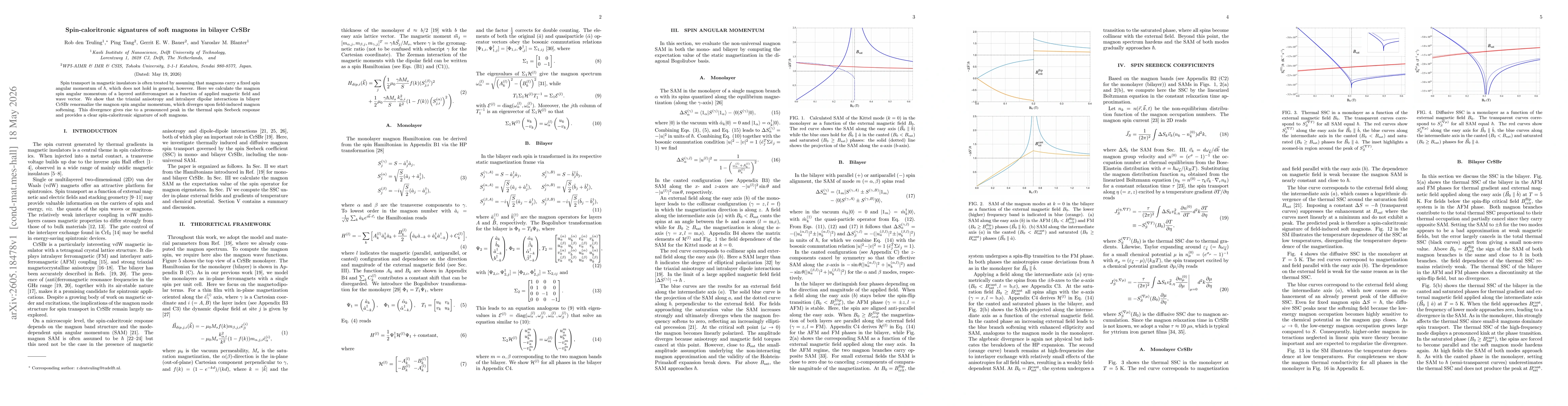Thumbnail for Spin-caloritronic signatures of soft magnons in bilayer CrSBr