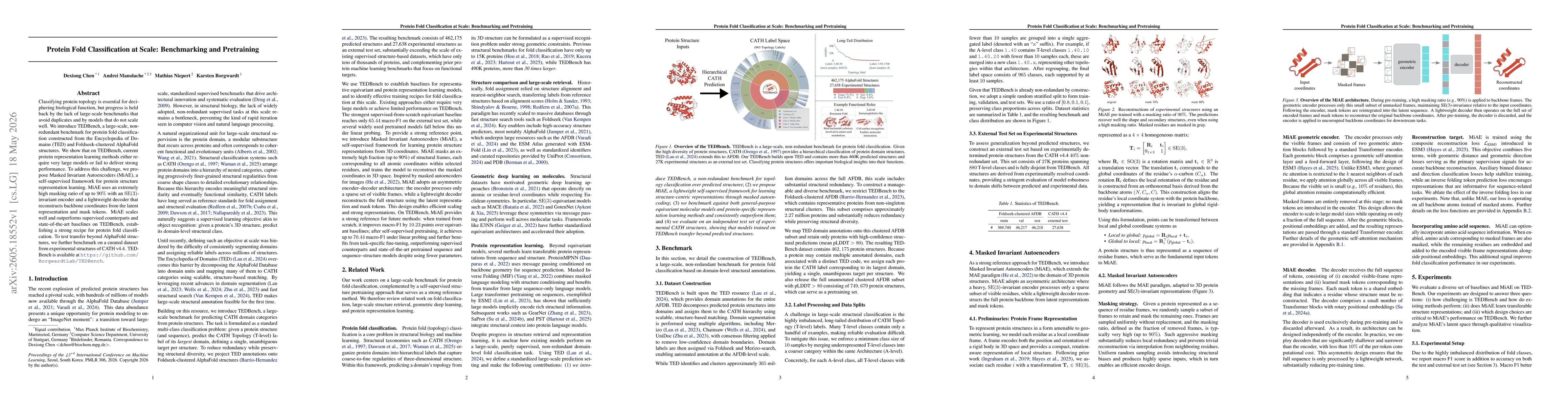 Thumbnail for Protein Fold Classification at Scale: Benchmarking and Pretraining