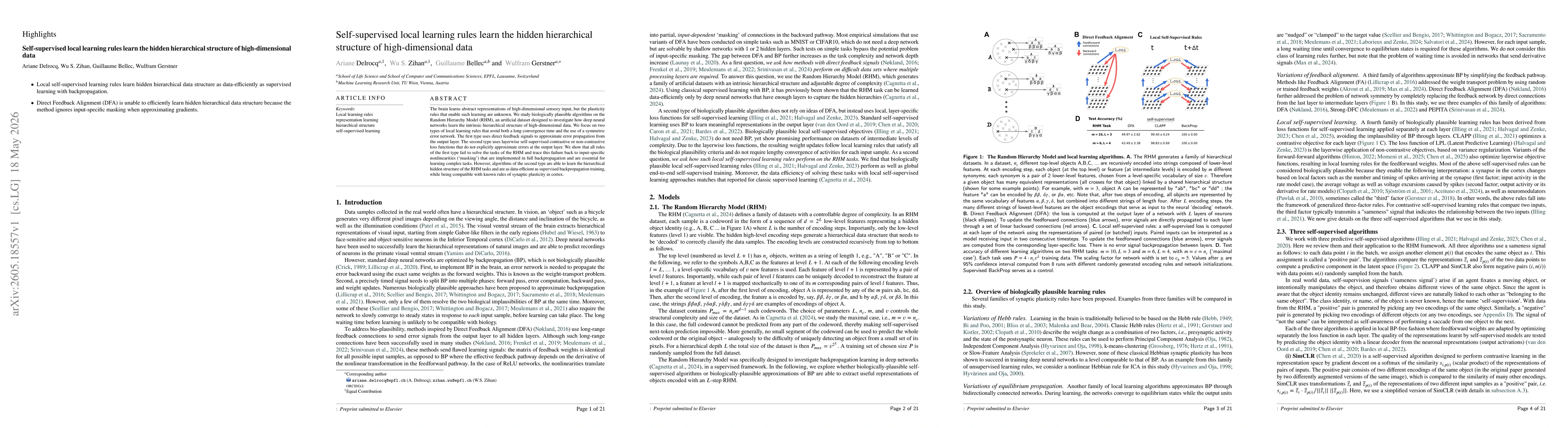 Thumbnail for Self-supervised local learning rules learn the hidden hierarchical structure of high-dimensional data