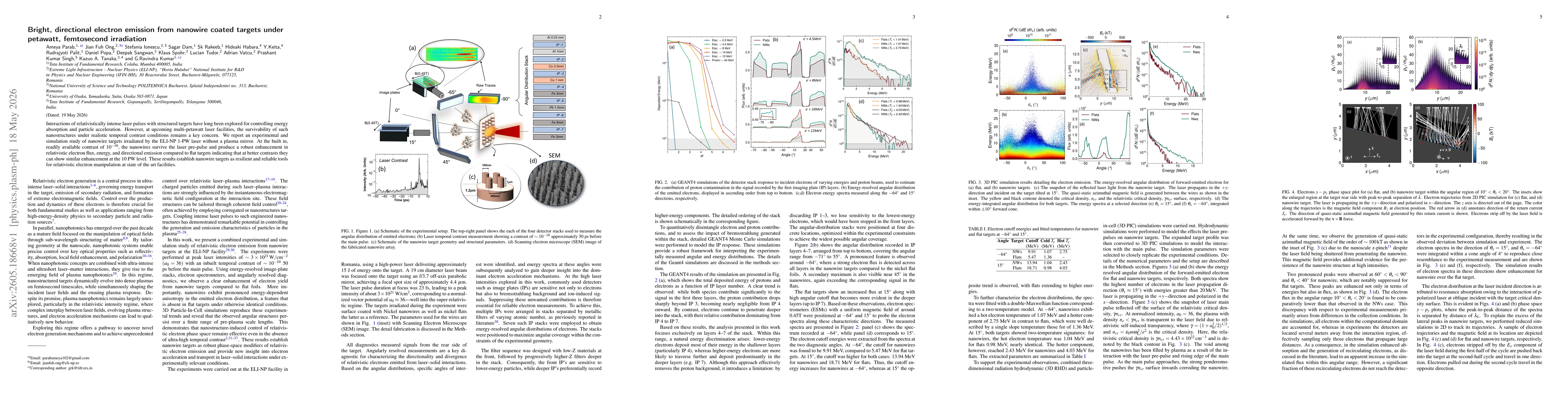 Thumbnail for Bright, directional electron emission from nanowire coated targets under petawatt, femtosecond irradiation