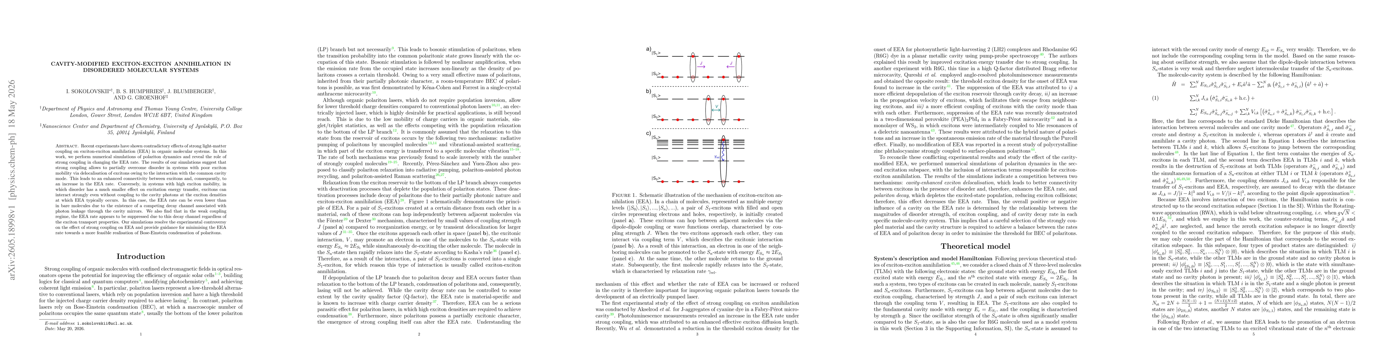Thumbnail for Cavity-modified exciton-exciton annihilation in disordered molecular systems
