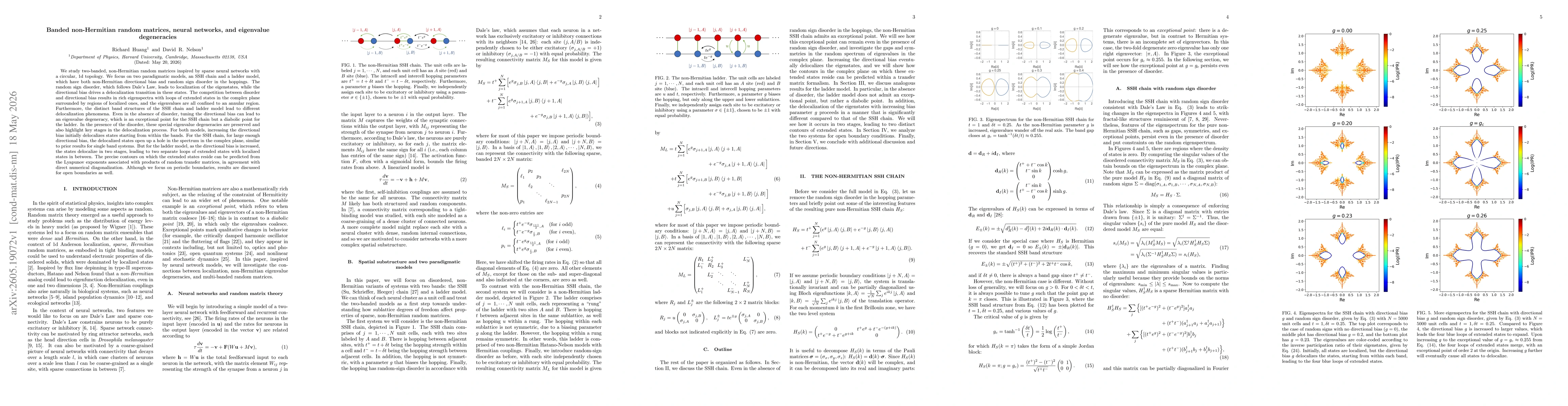 Thumbnail for Banded non-Hermitian random matrices, neural networks, and eigenvalue degeneracies