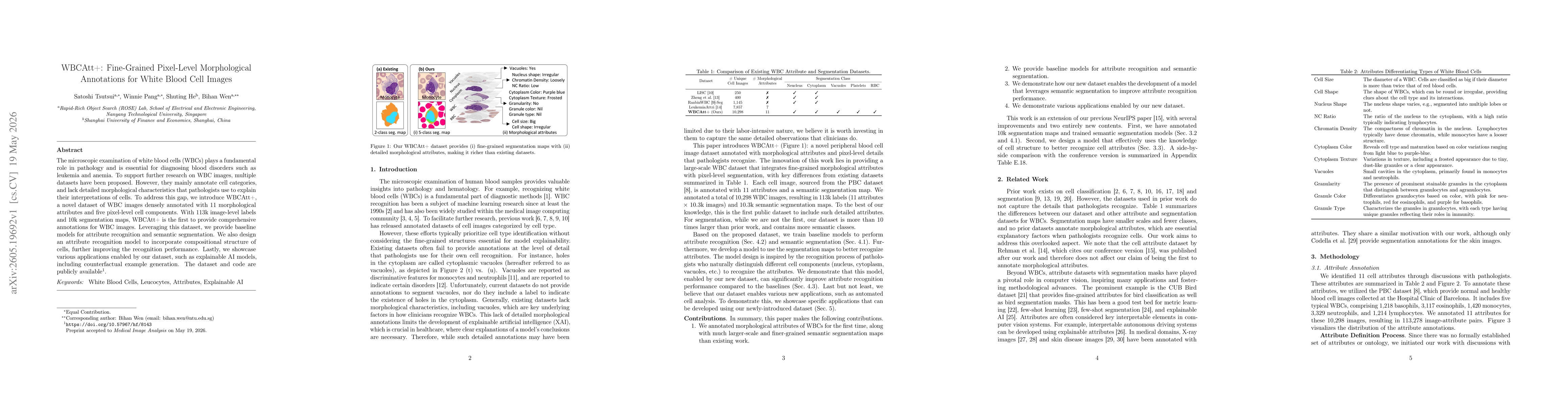 Thumbnail for WBCAtt+: Fine-Grained Pixel-Level Morphological Annotations for White Blood Cell Images