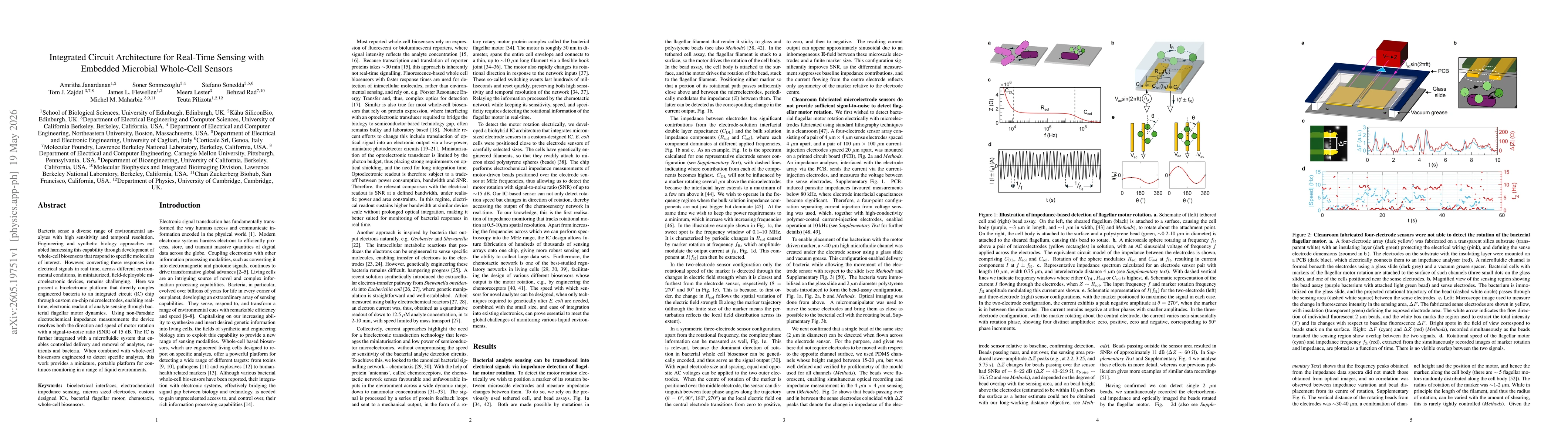 Thumbnail for Integrated Circuit Architecture for Real-Time Sensing with Embedded Microbial Whole-Cell Sensors