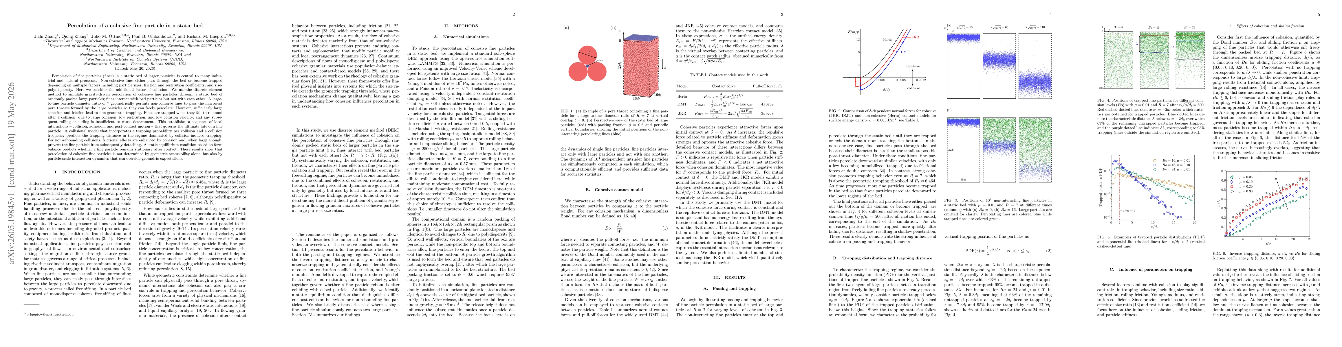 Thumbnail for Percolation of a cohesive fine particle in a static bed
