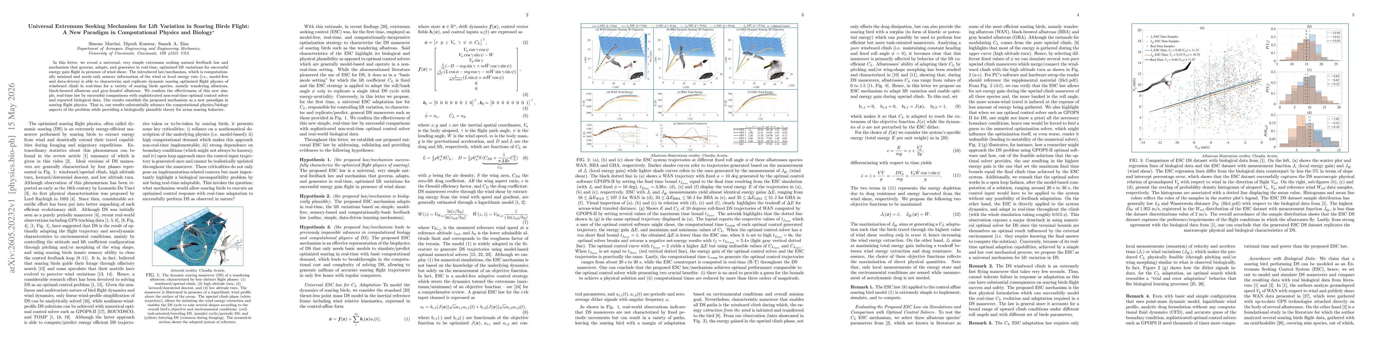 Thumbnail for Universal Extremum Seeking Mechanism for Lift Variation in Soaring Birds Flight: A New Paradigm in Computational Physics and Biology