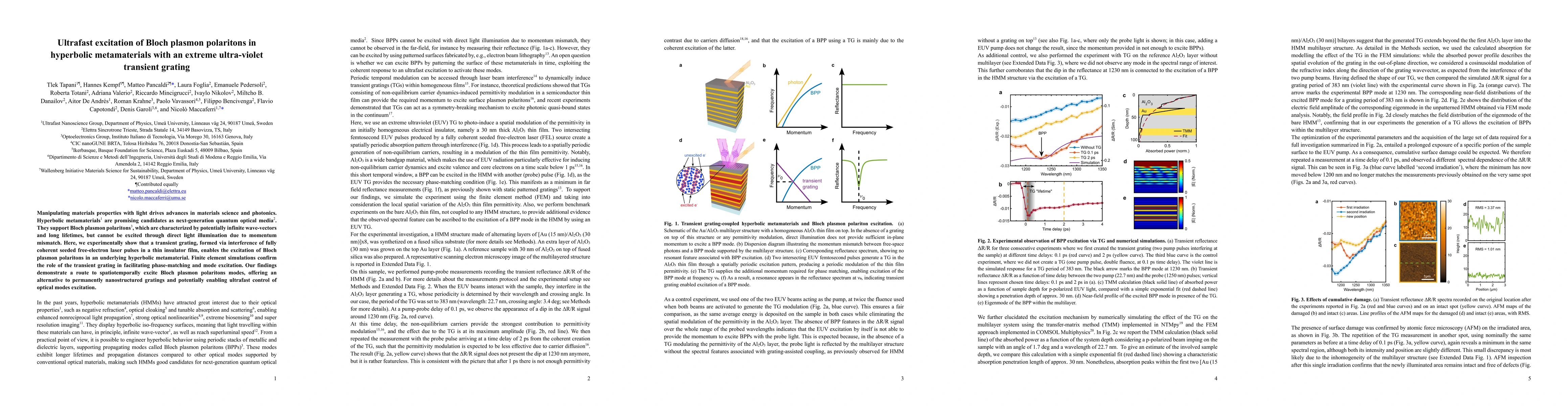Thumbnail for Ultrafast excitation of Bloch plasmon polaritons in hyperbolic metamaterials with an extreme ultra-violet transient grating