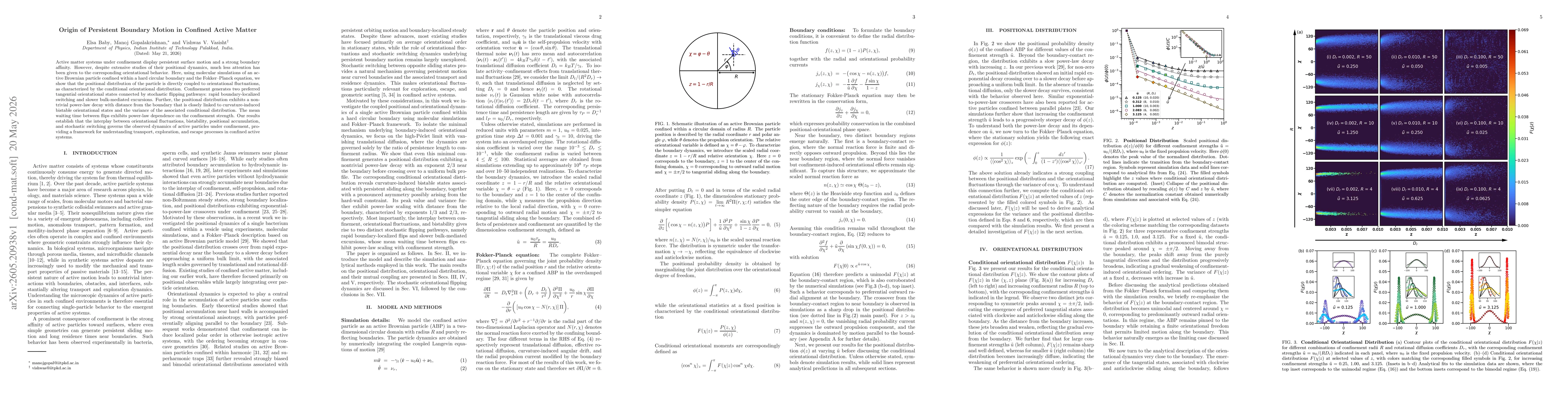 Thumbnail for Origin of Persistent Boundary Motion in Confined Active Matter