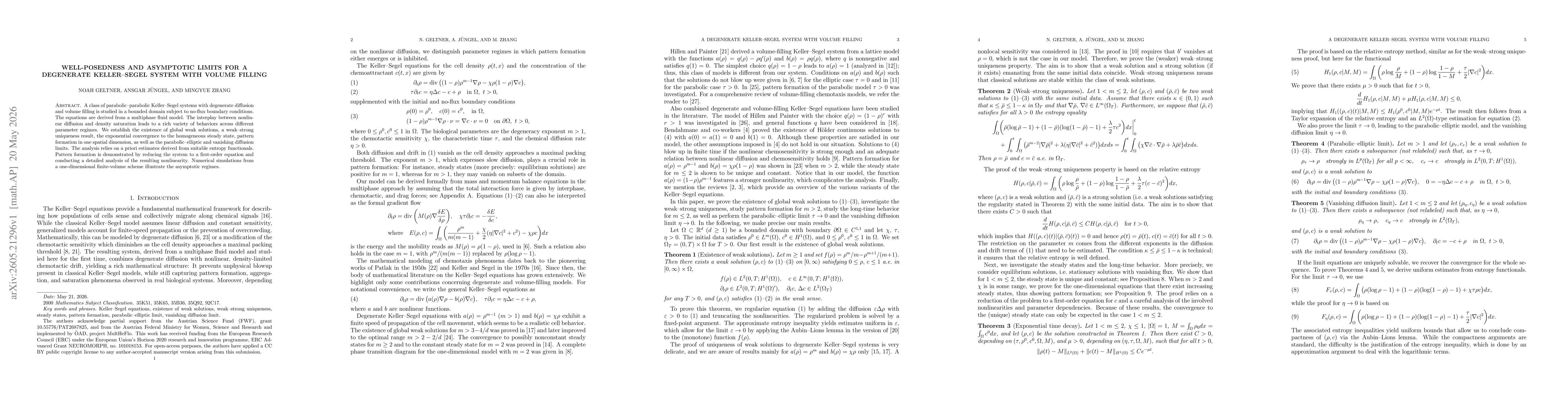 Thumbnail for Well-posedness and asymptotic limits for a degenerate Keller-Segel system with volume filling