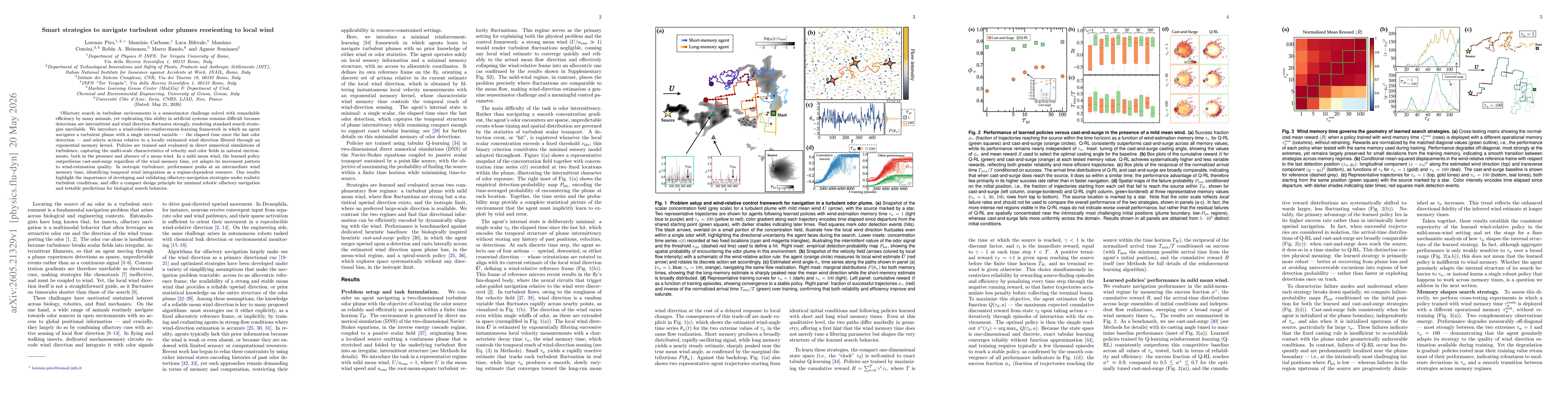 Thumbnail for Smart strategies to navigate turbulent odor plumes reorienting to local wind