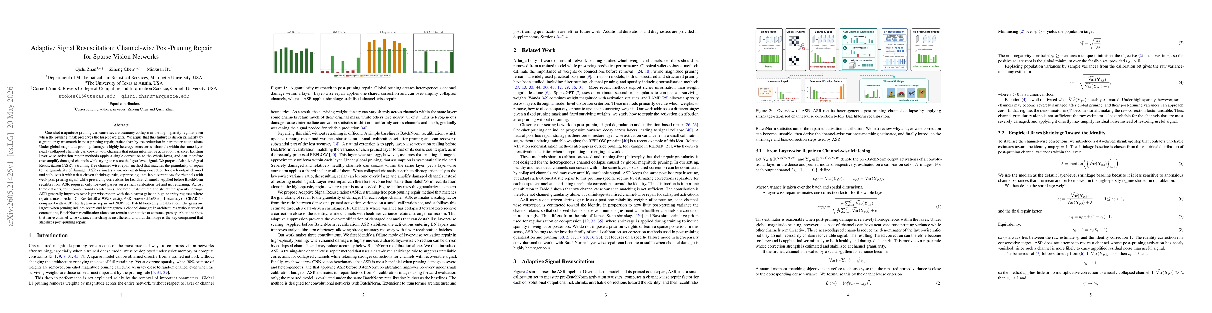 Thumbnail for Adaptive Signal Resuscitation: Channel-wise Post-Pruning Repair for Sparse Vision Networks
