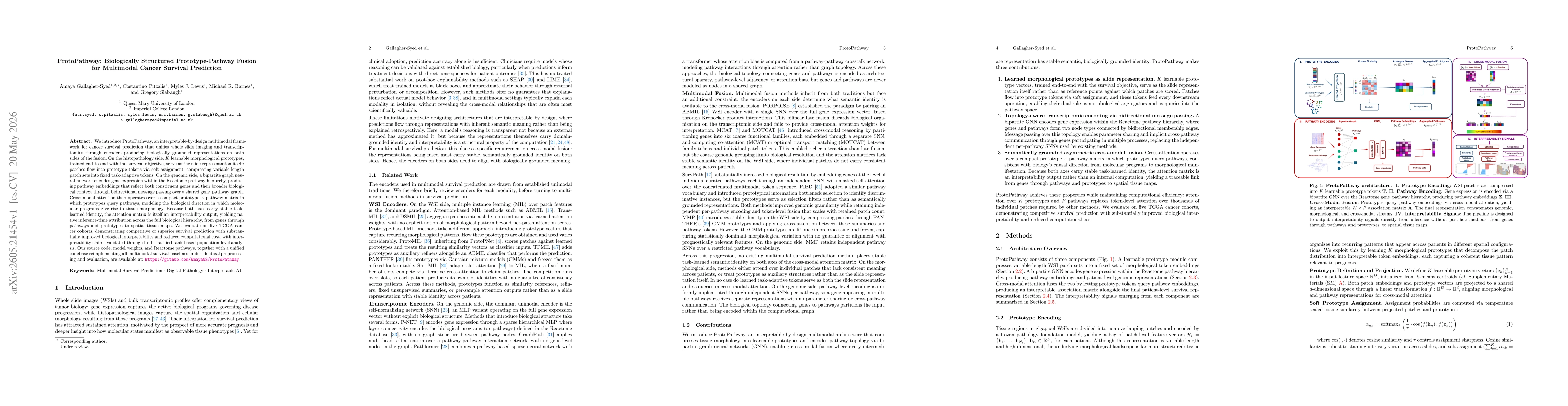 Thumbnail for ProtoPathway: Biologically Structured Prototype-Pathway Fusion for Multimodal Cancer Survival Prediction