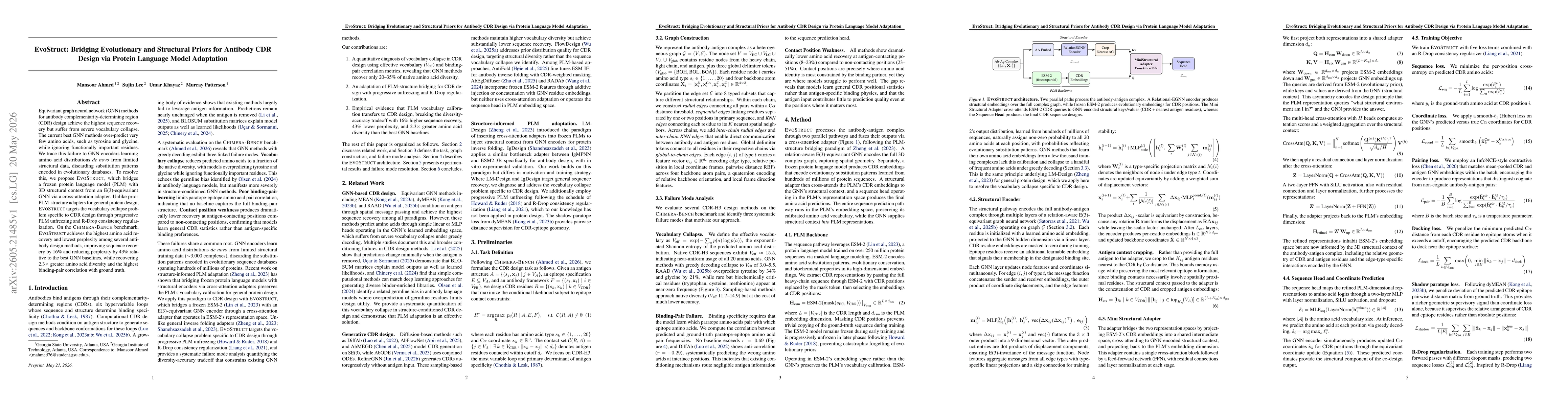 Thumbnail for EvoStruct: Bridging Evolutionary and Structural Priors for Antibody CDR Design via Protein Language Model Adaptation