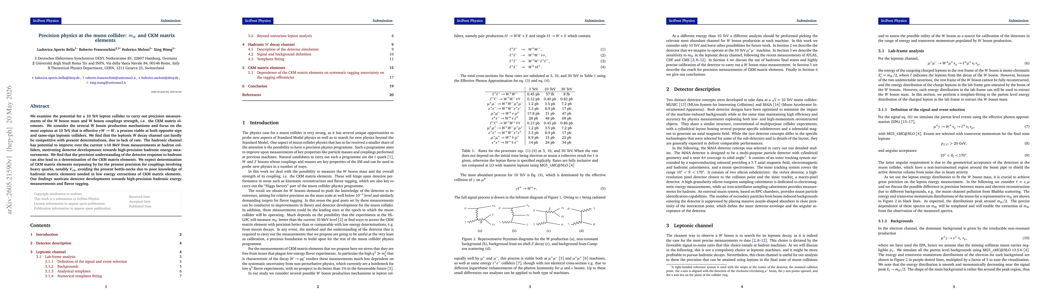 Thumbnail for Precision physics at the muon collider: $m_W$ and CKM matrix elements