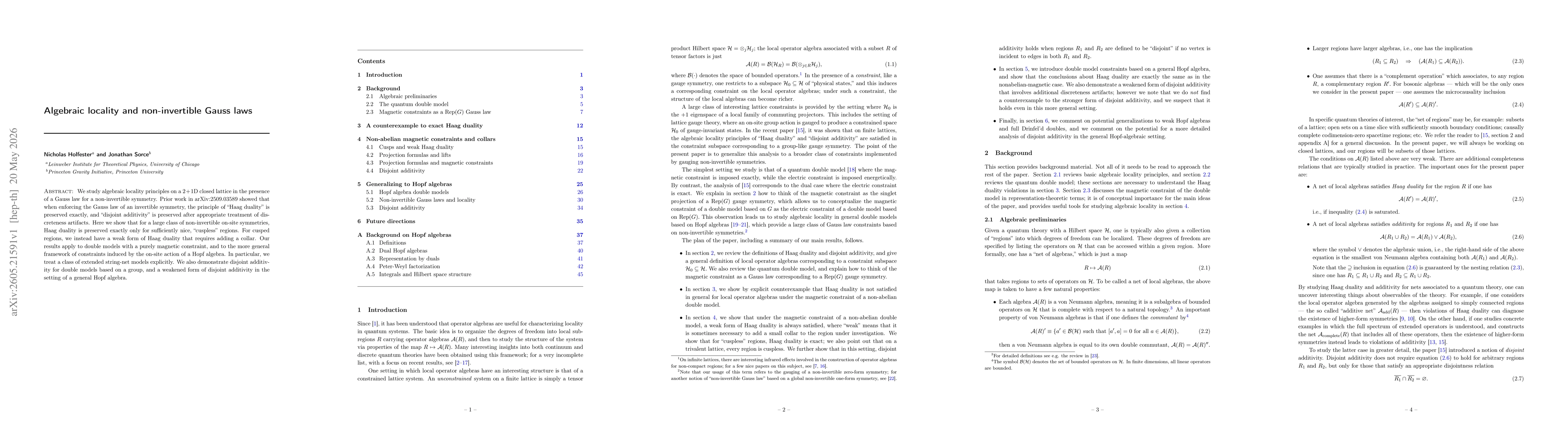Thumbnail for Algebraic locality and non-invertible Gauss laws