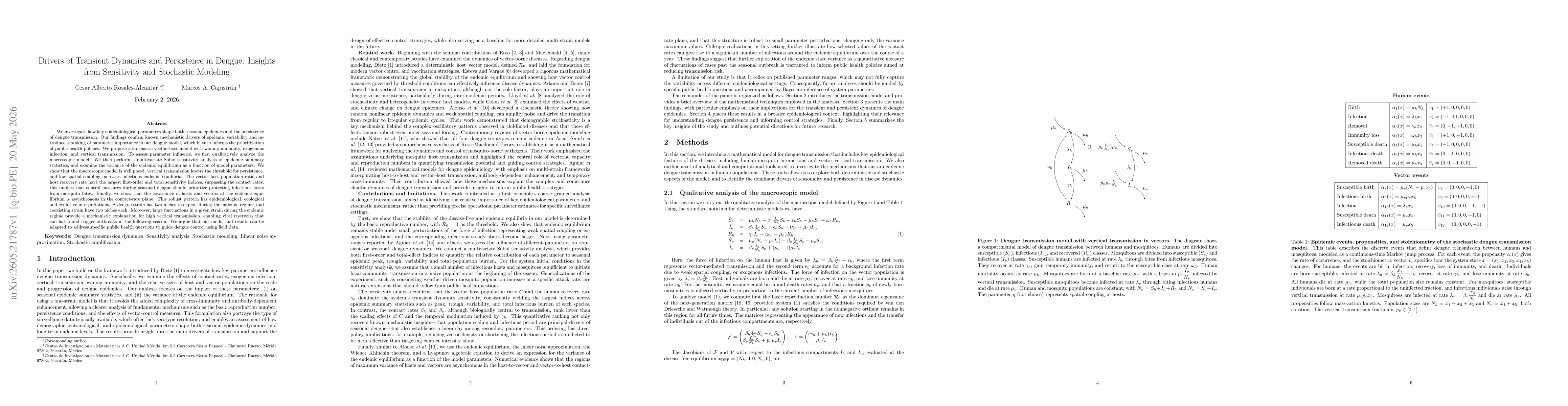 Thumbnail for Drivers of Transient Dynamics and Persistence in Dengue: Insights from Sensitivity and Stochastic Modeling
