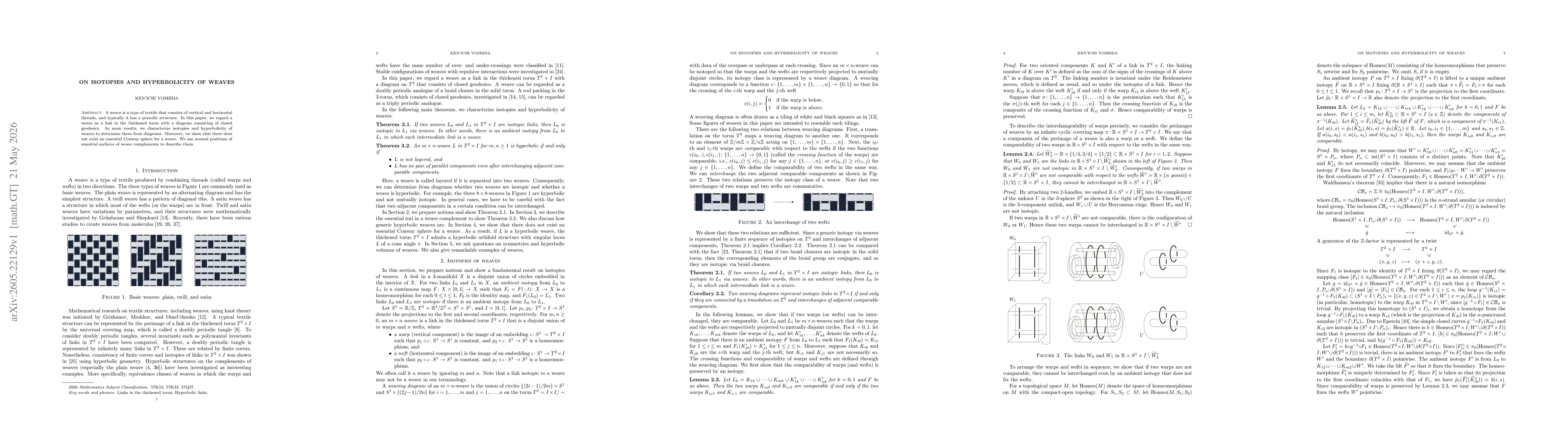 Thumbnail for On Isotopies and hyperbolicity of weaves