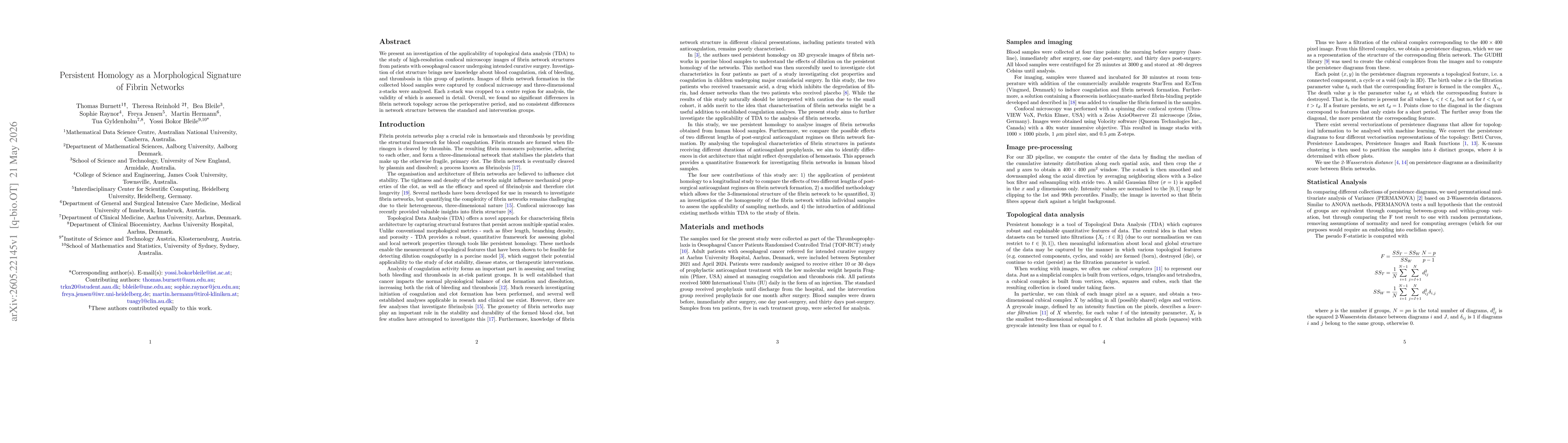 Thumbnail for Persistent Homology as a Morphological Signature of Fibrin Networks