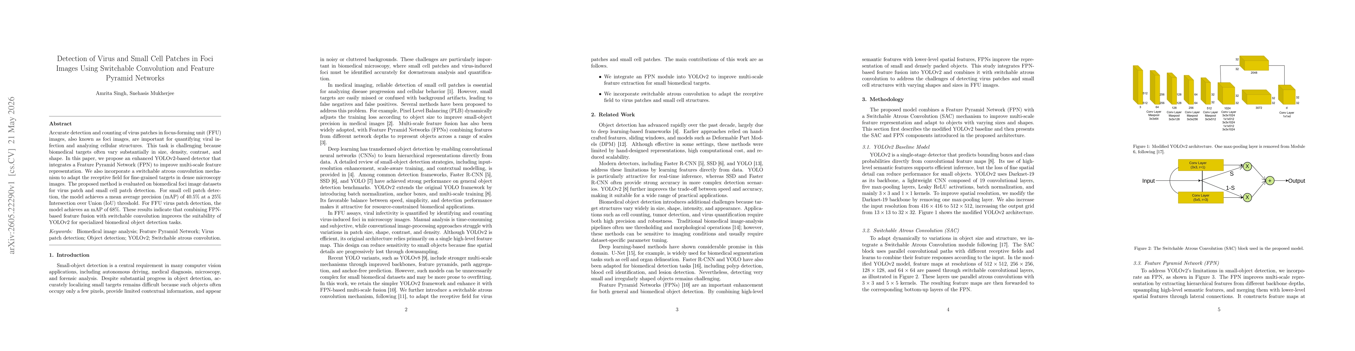 Thumbnail for Detection of Virus and Small Cell Patches in Foci Images Using Switchable Convolution and Feature Pyramid Networks