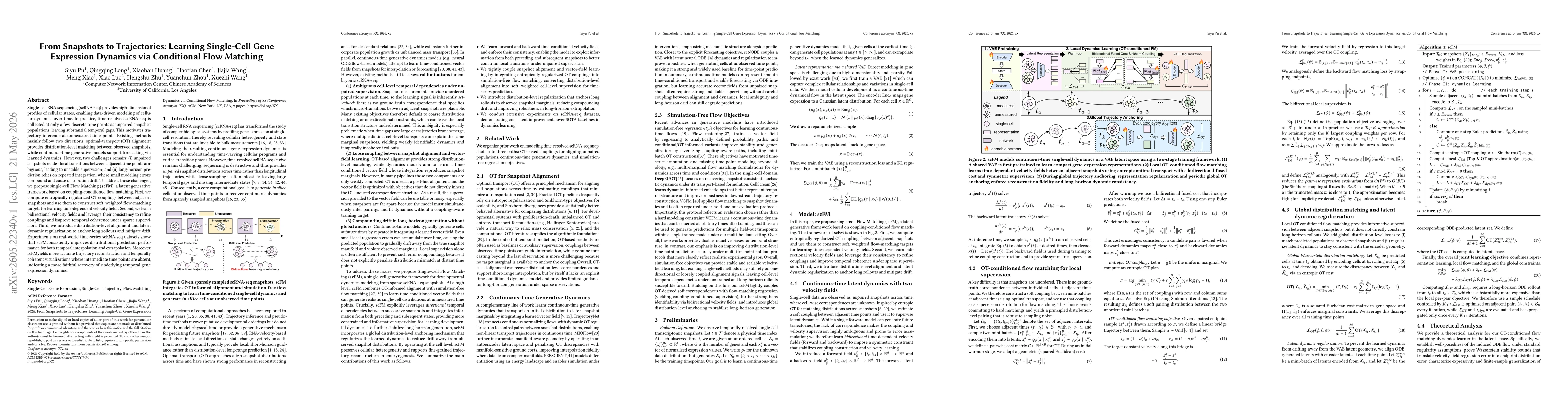 Thumbnail for From Snapshots to Trajectories: Learning Single-Cell Gene Expression Dynamics via Conditional Flow Matching