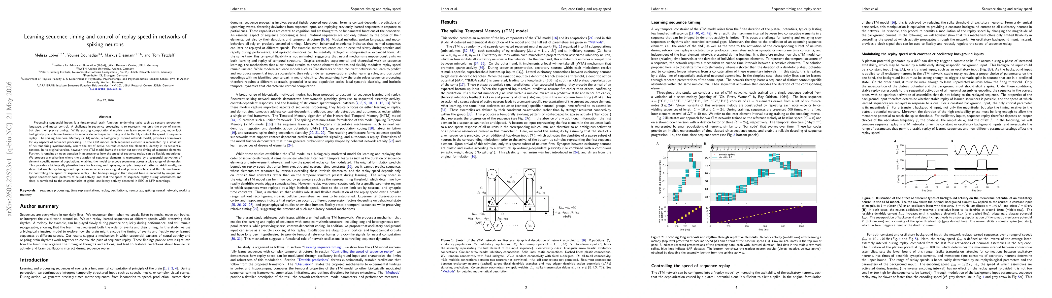 Thumbnail for Learning sequence timing and control of replay speed in networks of spiking neurons