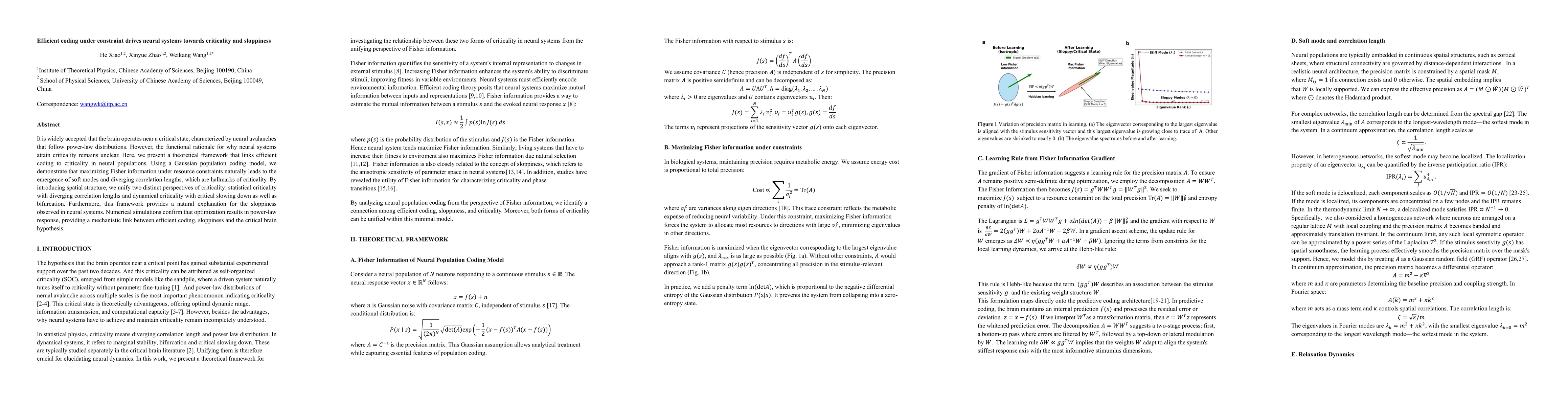 Thumbnail for Efficient coding under constraint drives neural systems towards criticality and sloppiness