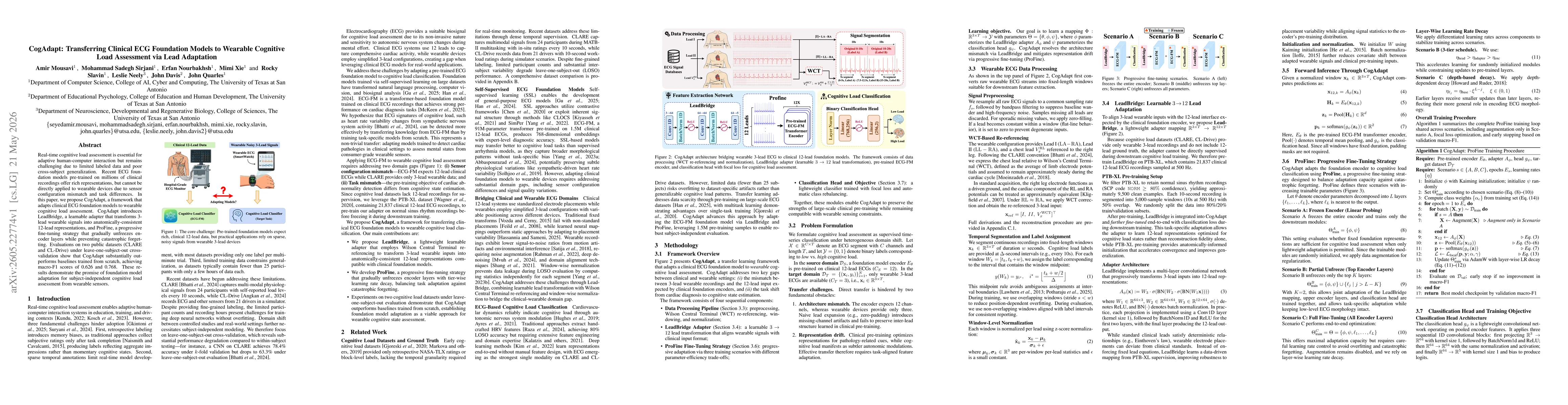 Thumbnail for CogAdapt: Transferring Clinical ECG Foundation Models to Wearable Cognitive Load Assessment via Lead Adaptation
