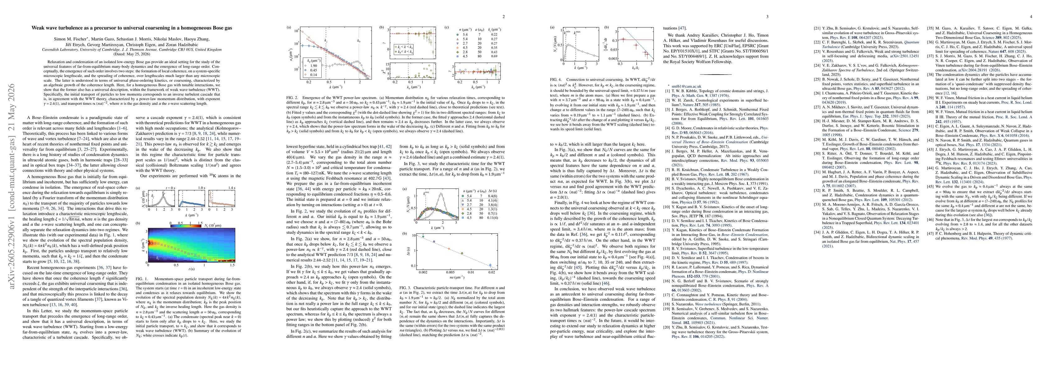 Thumbnail for Weak wave turbulence as a precursor to universal coarsening in a homogeneous Bose gas