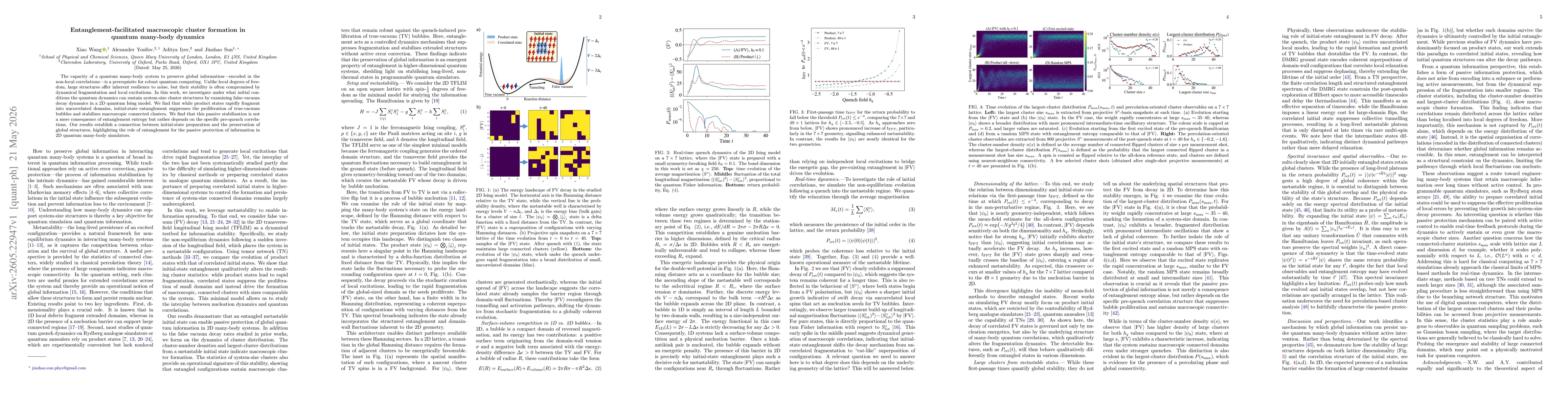 Thumbnail for Entanglement-facilitated macroscopic cluster formation in quantum many-body dynamics