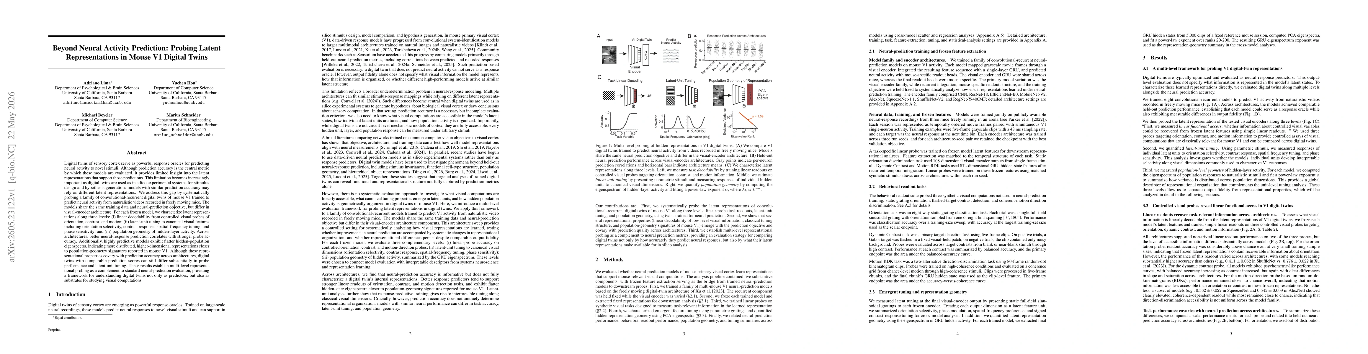 Thumbnail for Beyond Neural Activity Prediction: Probing Latent Representations in Mouse V1 Digital Twins