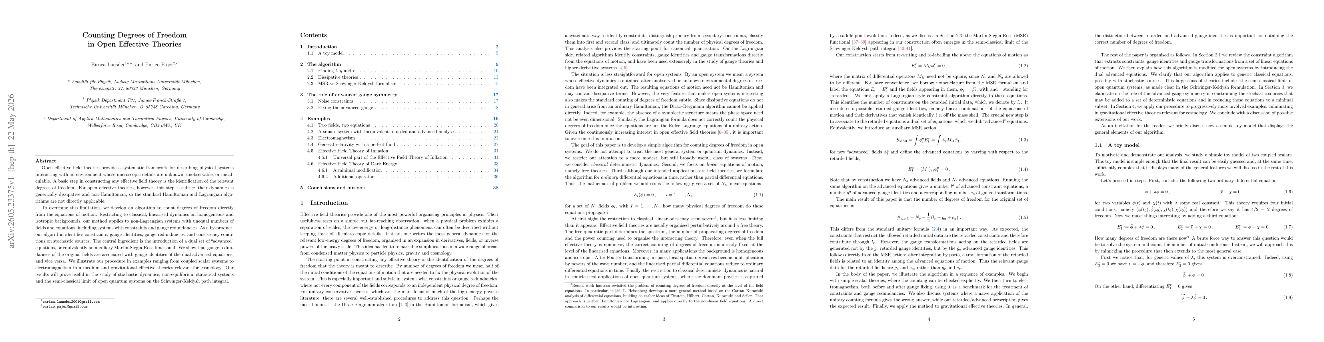 Thumbnail for Counting Degrees of Freedom in Open Effective Theories