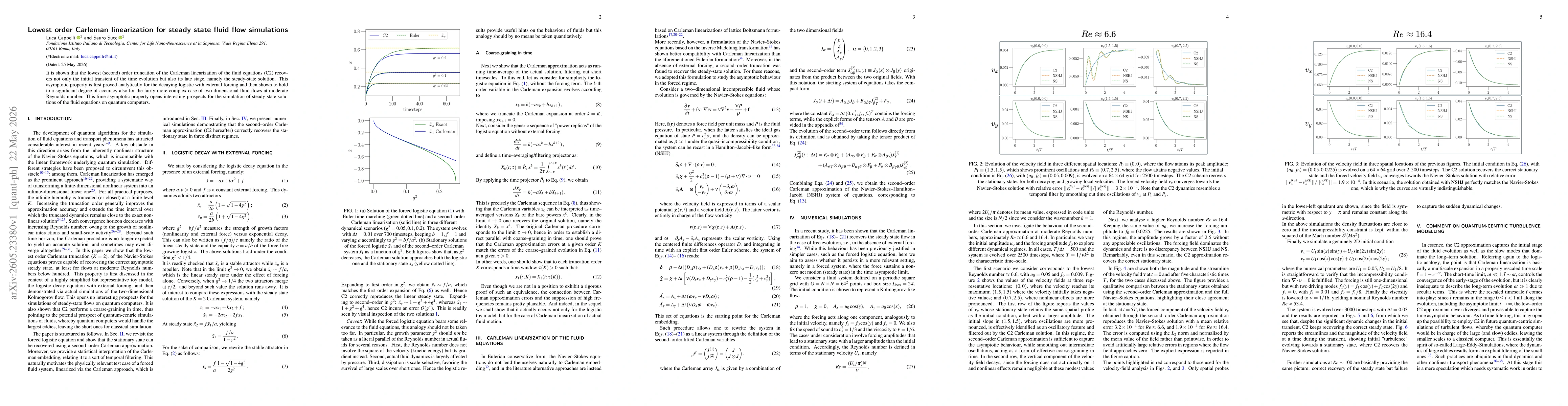 Thumbnail for Lowest order Carleman linearization for steady state fluid flow simulations