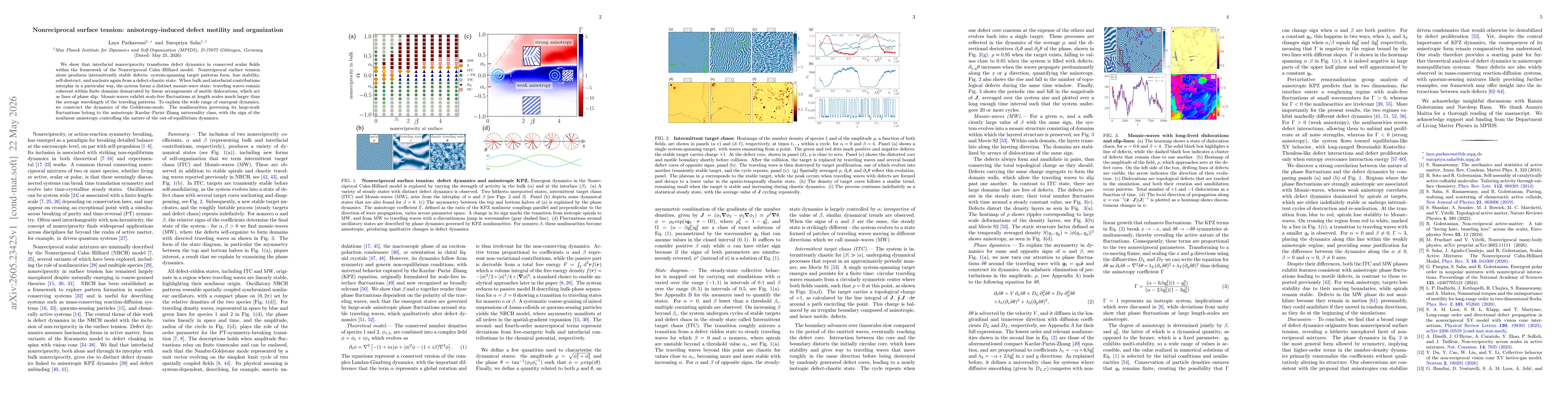 Thumbnail for Nonreciprocal surface tension: anisotropy-induced defect motility and organization