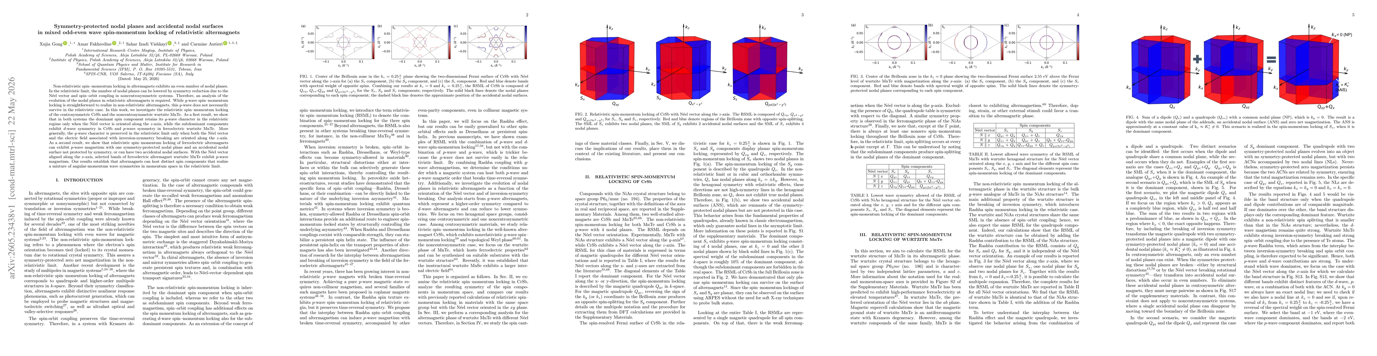 Thumbnail for Symmetry-protected nodal planes and accidental nodal surfaces in mixed odd-even wave spin-momentum locking of relativistic altermagnets