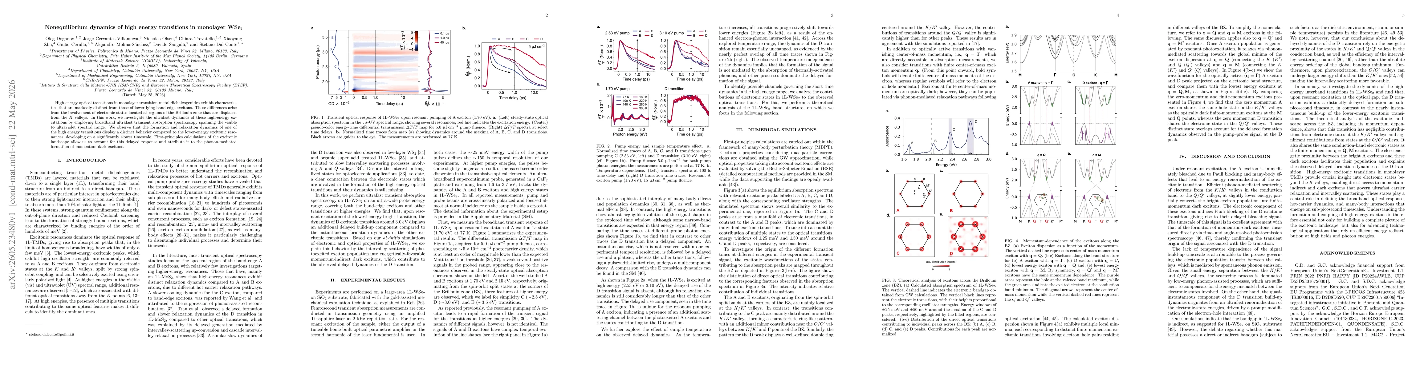 Thumbnail for Nonequilibrium dynamics of high energy transitions in monolayer WSe$_{2}$