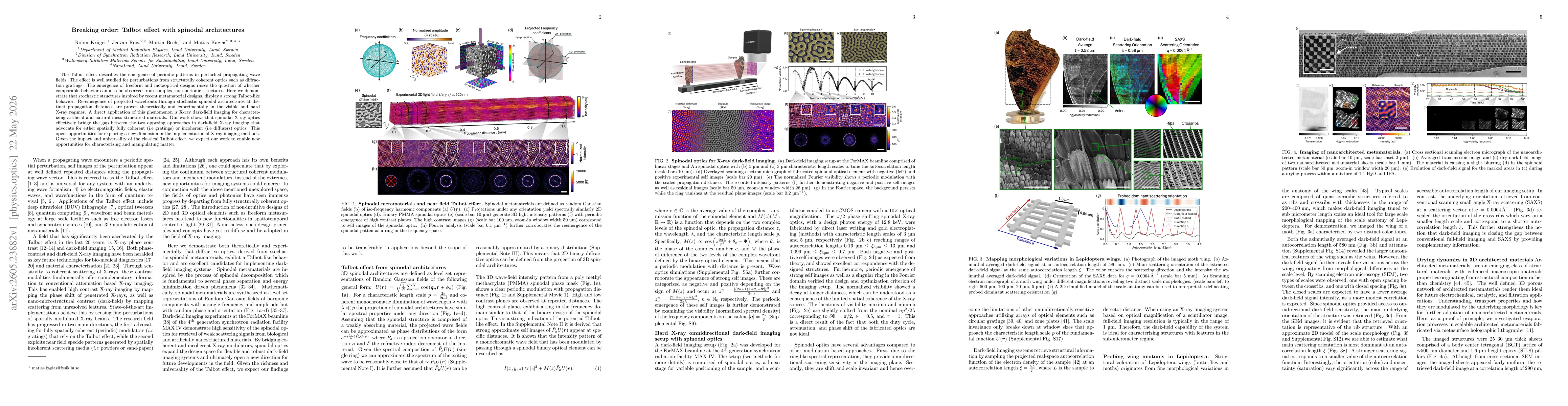 Thumbnail for Breaking order: Talbot effect with spinodal architectures