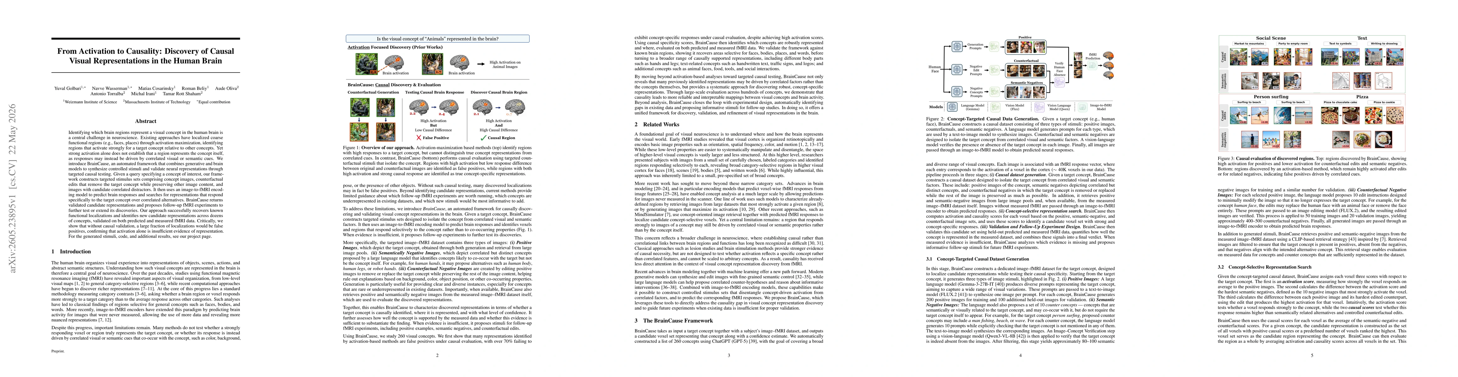 Thumbnail for From Activation to Causality: Discovery of Causal Visual Representations in the Human Brain