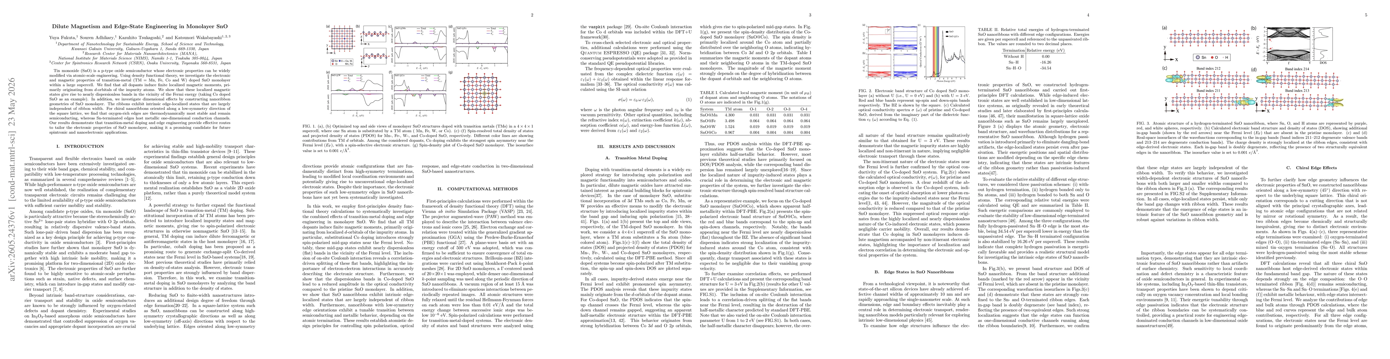 Thumbnail for Dilute Magnetism and Edge-State Engineering in Monolayer SnO