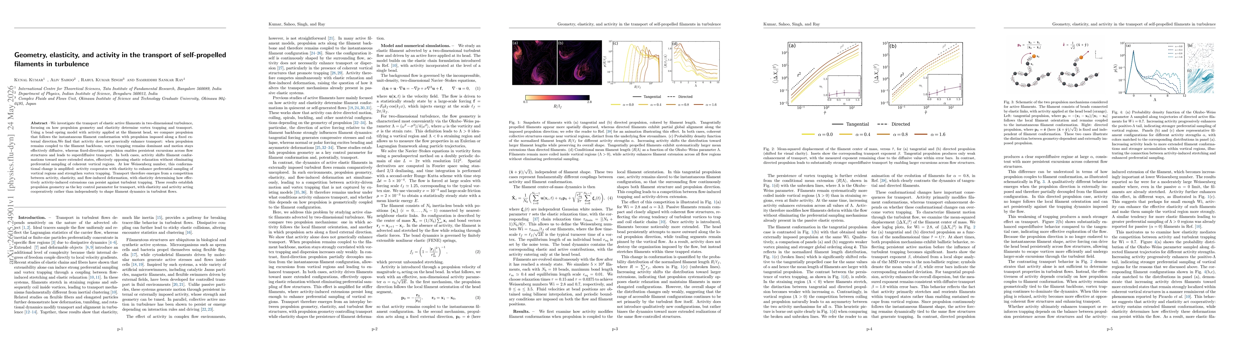 Thumbnail for Geometry, elasticity, and activity in the transport of self-propelled filaments in turbulence