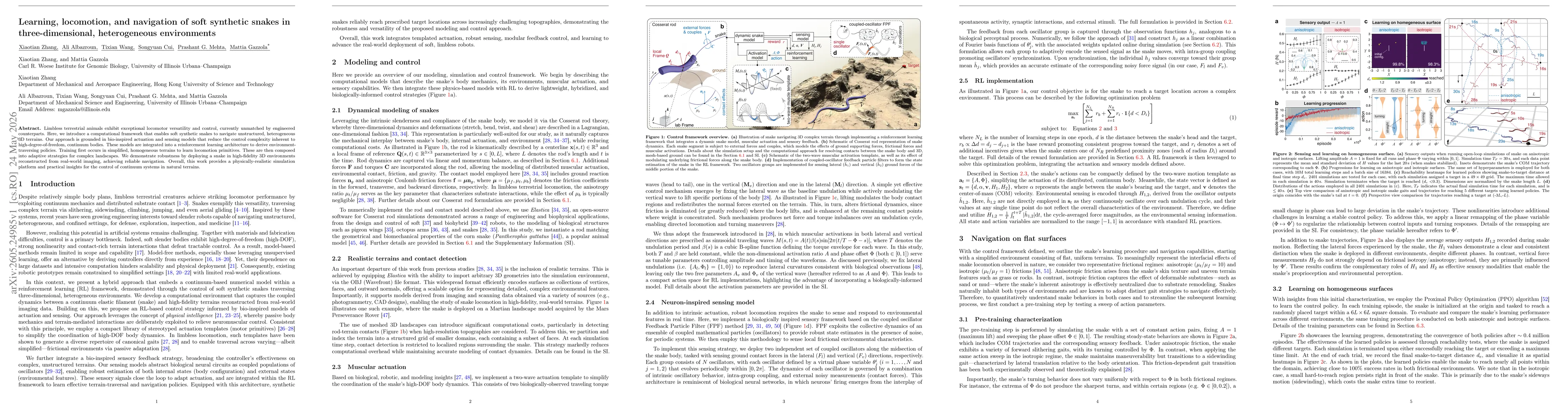 Thumbnail for Learning, locomotion, and navigation of soft synthetic snakes in three-dimensional, heterogeneous environments