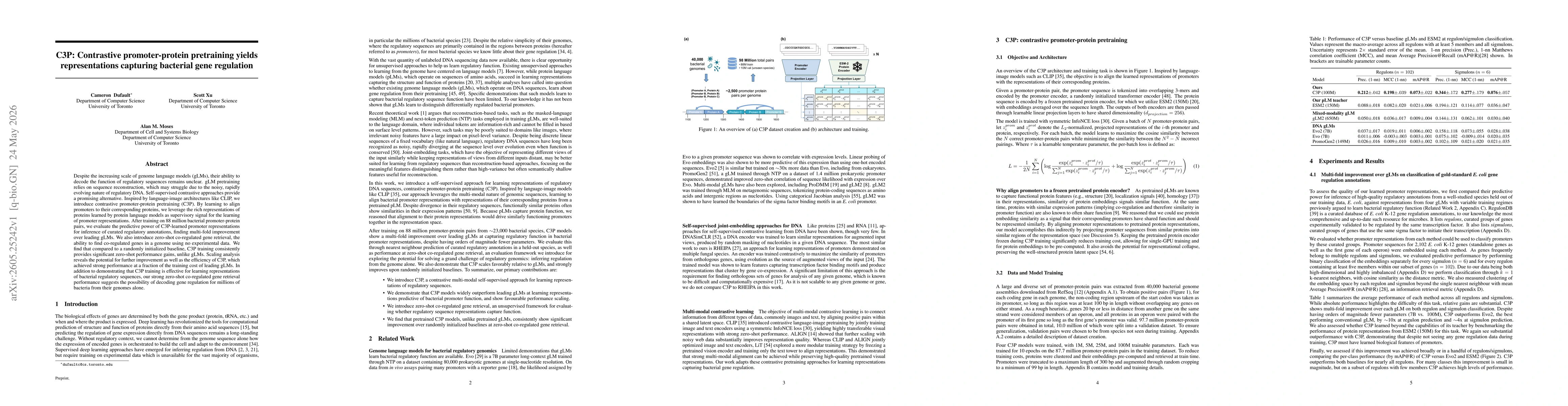 Thumbnail for C3P: Contrastive promoter-protein pretraining yields representations capturing bacterial gene regulation