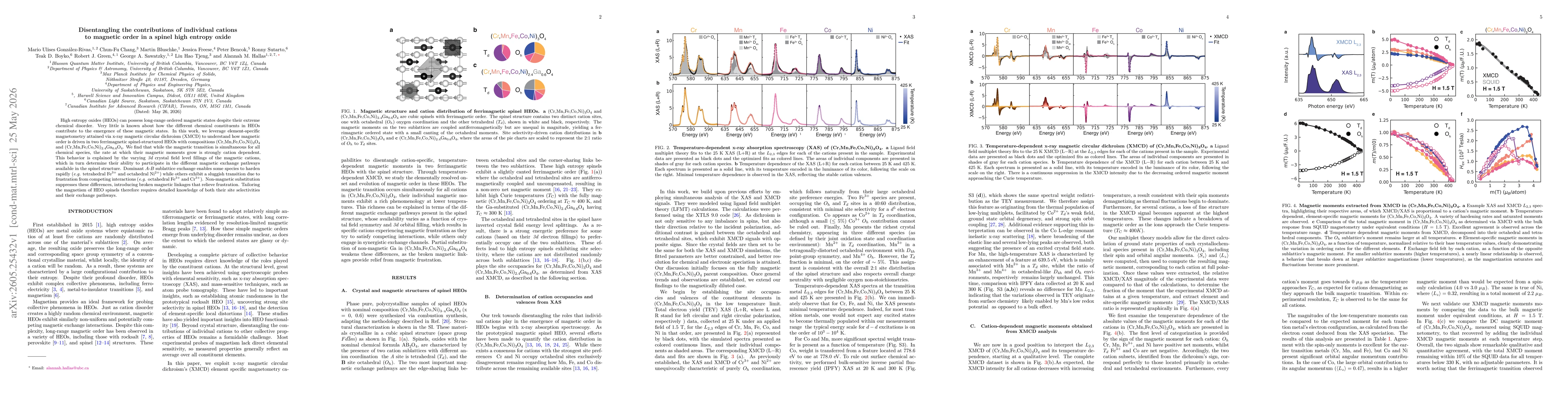 Thumbnail for Disentangling the contributions of individual cations to magnetic order in a spinel high entropy oxide