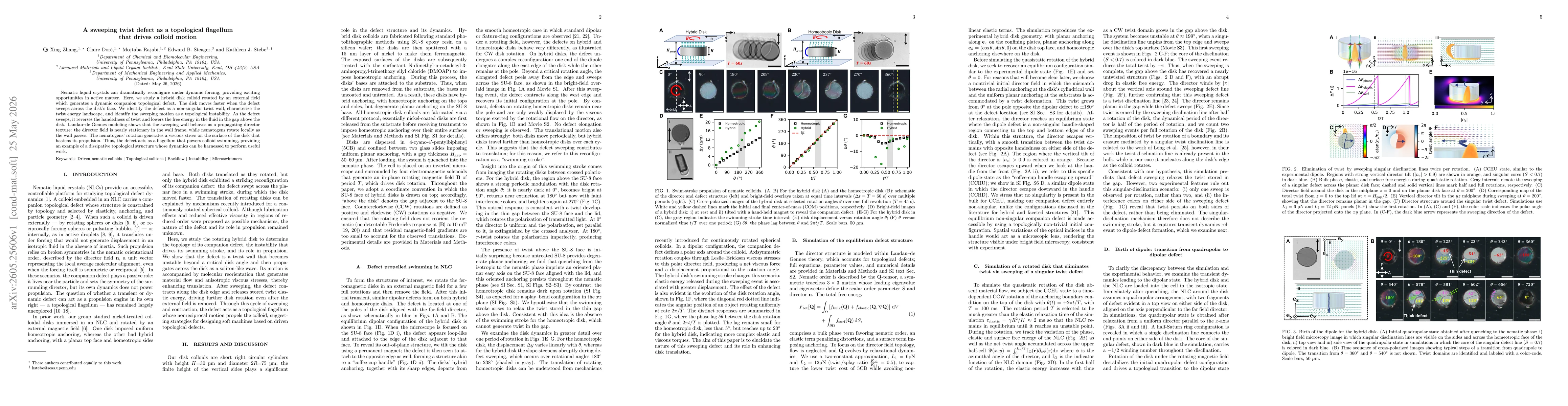 Thumbnail for A sweeping twist defect as a topological flagellum that drives colloid motion